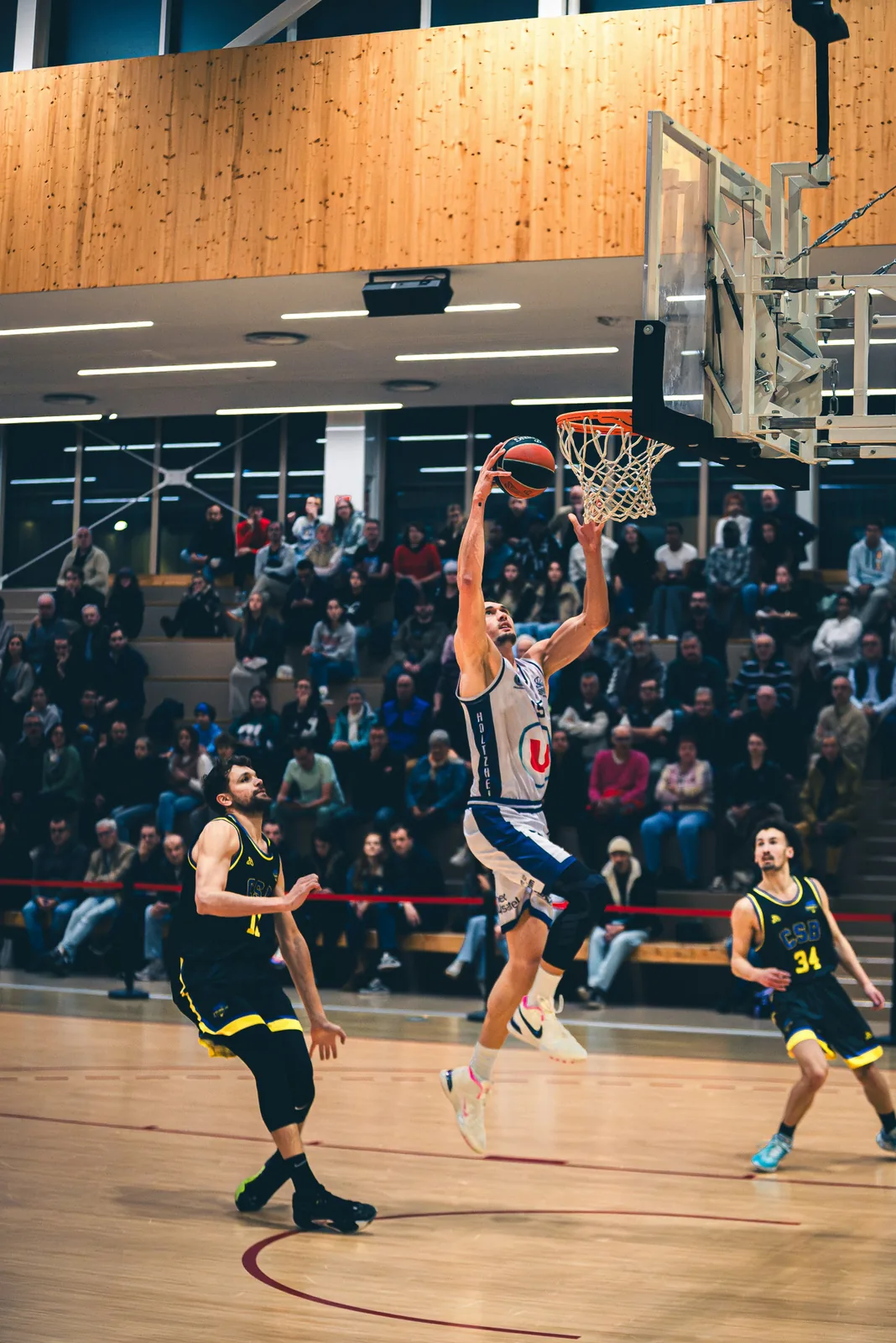 Лига запустила обновлённую систему статистики Rogis Stats