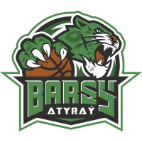 Home team logo